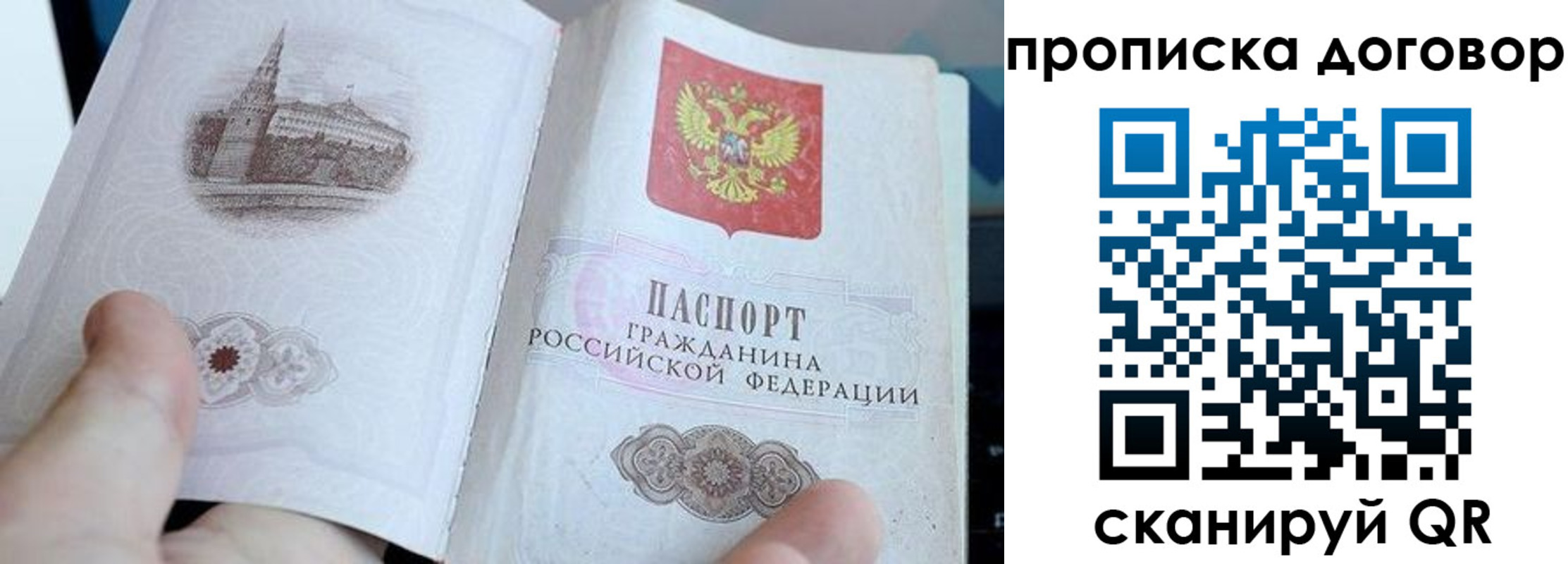 прописка законно в Кировске